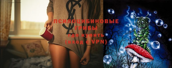 хмурый Богородицк