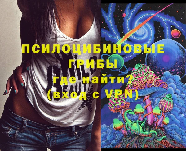 дурь Богданович