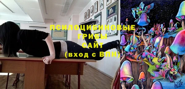 дурь Богданович