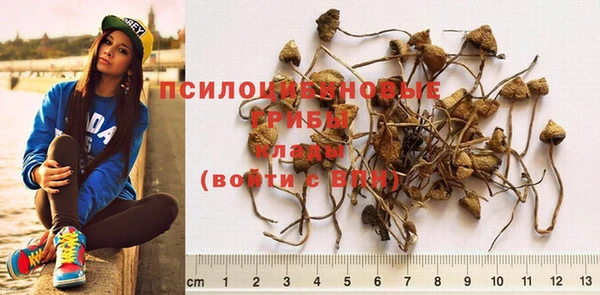 хмурый Богородицк