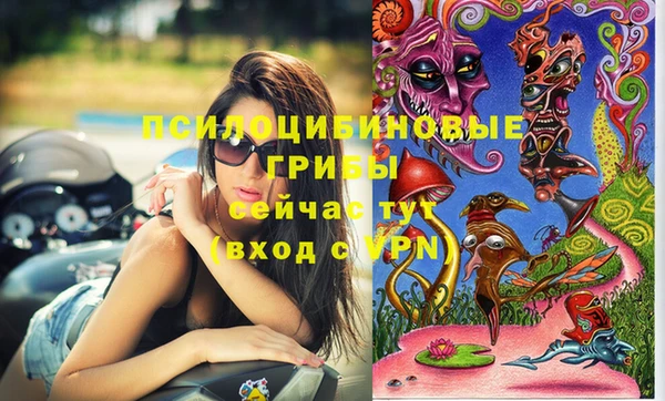 хмурый Богородицк