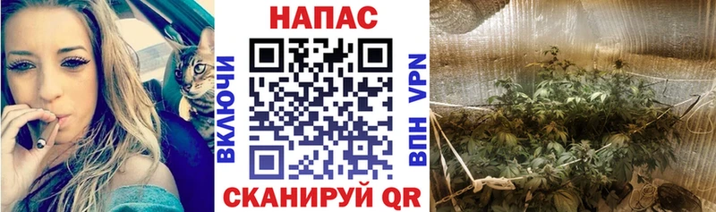 Конопля LSD WEED  наркотики  Михайлов 